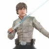 Diamond Select Toys Movies / TV Star Wars: The Empire Strikes Back Luke Skywalker 1/6 Scale Bust