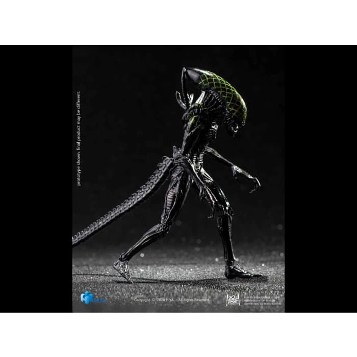 Best Pirce 😍 Hiya Toys Movies / TV Alien Vs. Predator Grid Alien 1:18 Scale PX Previews Exclusive Figure 🔔 8 Hiya Toys Movies / TV Alien Vs. Predator Grid Alien 1:18 Scale PX Previews Exclusive Figure