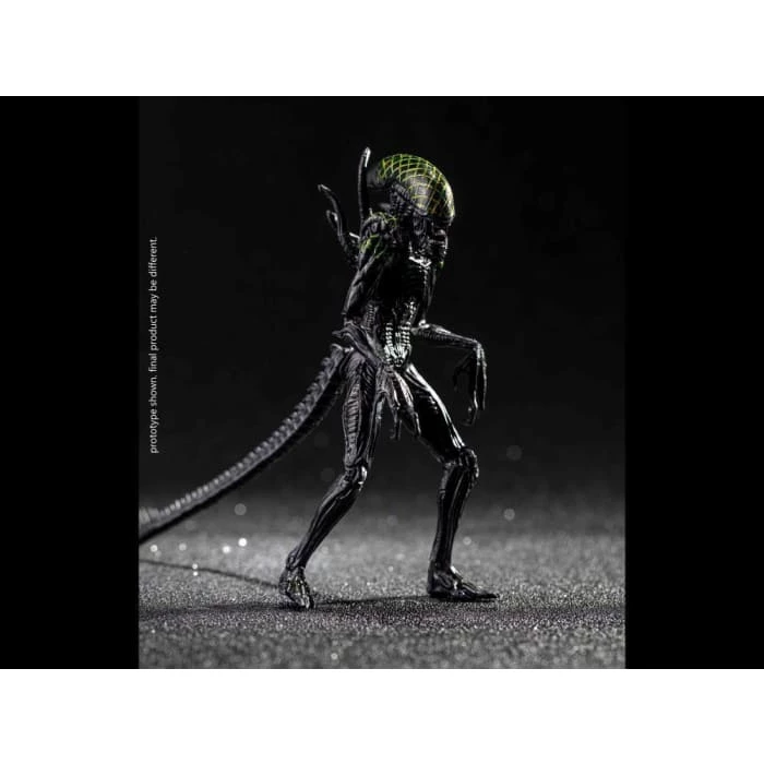 Best Pirce 😍 Hiya Toys Movies / TV Alien Vs. Predator Grid Alien 1:18 Scale PX Previews Exclusive Figure 🔔 7 Hiya Toys Movies / TV Alien Vs. Predator Grid Alien 1:18 Scale PX Previews Exclusive Figure