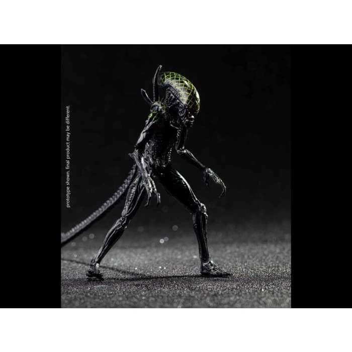 Best Pirce 😍 Hiya Toys Movies / TV Alien Vs. Predator Grid Alien 1:18 Scale PX Previews Exclusive Figure 🔔 9 Hiya Toys Movies / TV Alien Vs. Predator Grid Alien 1:18 Scale PX Previews Exclusive Figure