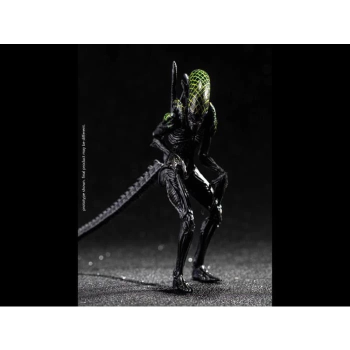 Best Pirce 😍 Hiya Toys Movies / TV Alien Vs. Predator Grid Alien 1:18 Scale PX Previews Exclusive Figure 🔔 10 Hiya Toys Movies / TV Alien Vs. Predator Grid Alien 1:18 Scale PX Previews Exclusive Figure