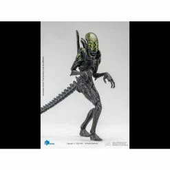 Best Pirce 😍 Hiya Toys Movies / TV Alien Vs. Predator Grid Alien 1:18 Scale PX Previews Exclusive Figure 🔔 13 Hiya Toys Movies / TV Alien Vs. Predator Grid Alien 1:18 Scale PX Previews Exclusive Figure