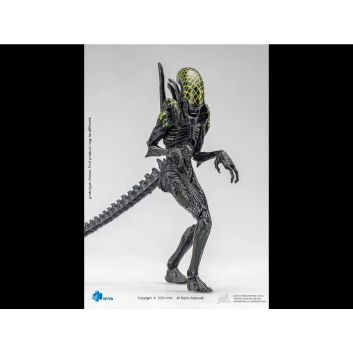 Best Pirce 😍 Hiya Toys Movies / TV Alien Vs. Predator Grid Alien 1:18 Scale PX Previews Exclusive Figure 🔔 5 Hiya Toys Movies / TV Alien Vs. Predator Grid Alien 1:18 Scale PX Previews Exclusive Figure