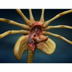 Discount 👏 Hollywood Collectibles Group Aliens Facehugger Life-Size Statue 🌟 14 Hollywood Collectibles Group Aliens Facehugger Life-Size Statue