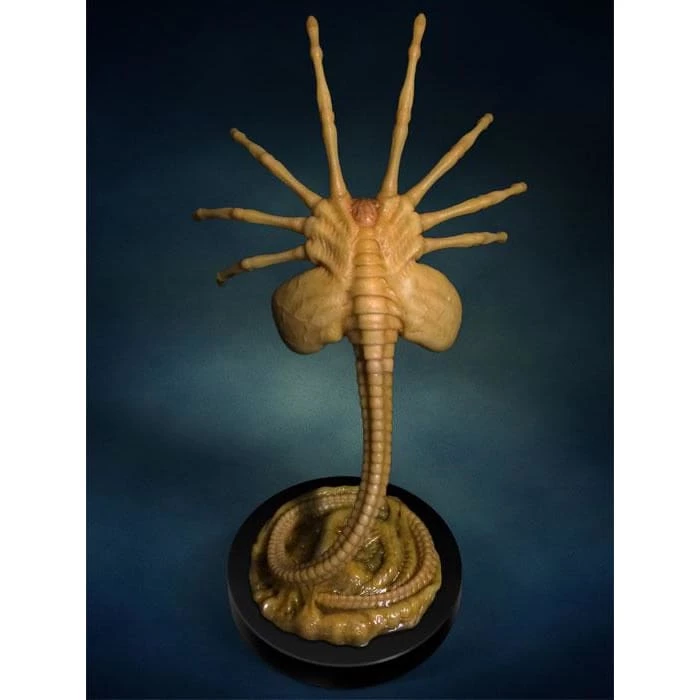 Discount 👏 Hollywood Collectibles Group Aliens Facehugger Life-Size Statue 🌟 9 Hollywood Collectibles Group Aliens Facehugger Life-Size Statue