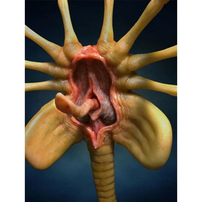 Discount 👏 Hollywood Collectibles Group Aliens Facehugger Life-Size Statue 🌟 6 Hollywood Collectibles Group Aliens Facehugger Life-Size Statue
