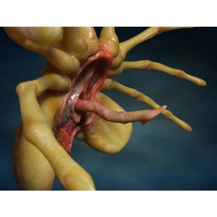 Discount 👏 Hollywood Collectibles Group Aliens Facehugger Life-Size Statue 🌟 10 Hollywood Collectibles Group Aliens Facehugger Life-Size Statue