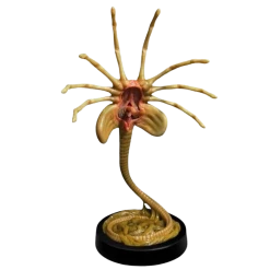Hollywood Collectibles Group Aliens Facehugger Life-Size Statue