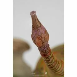 Pure Arts PureArts Monster Hunter: World Pukei-Pukei 1/26 Scale Statue