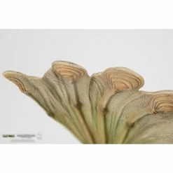 Pure Arts PureArts Monster Hunter: World Pukei-Pukei 1/26 Scale Statue