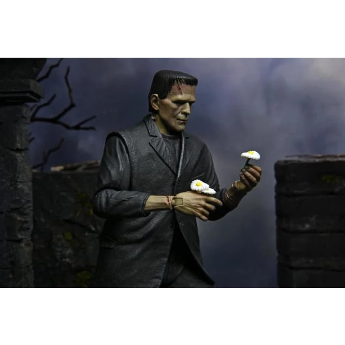 Flash Sale ⭐ NECA Universal Monsters Ultimate Frankenstein's Monster (Color) 7" Scale Figure 🥰 8 NECA Universal Monsters Ultimate Frankenstein's Monster (Color) 7" Scale Figure