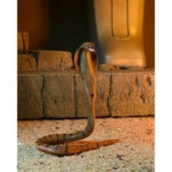 Deals 🎁 NECA Universal Monsters X Teenage Mutant Ninja Turtles Ultimate Michelangelo As The Mummy 🔥 27 NECA Universal Monsters X Teenage Mutant Ninja Turtles Ultimate Michelangelo As The Mummy